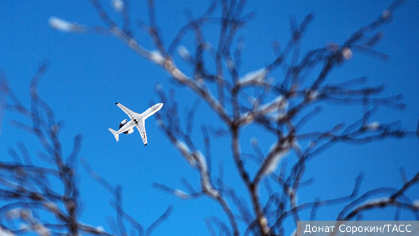     Фото: Донат Сорокин/ТАСС   
 Текст: Вера Басилая