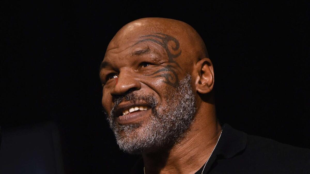 фото:открытый источник 