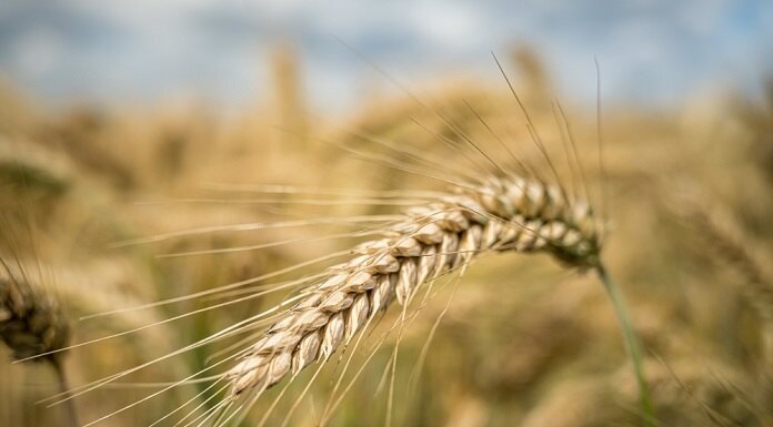   Изображение от wirestock на Freepik