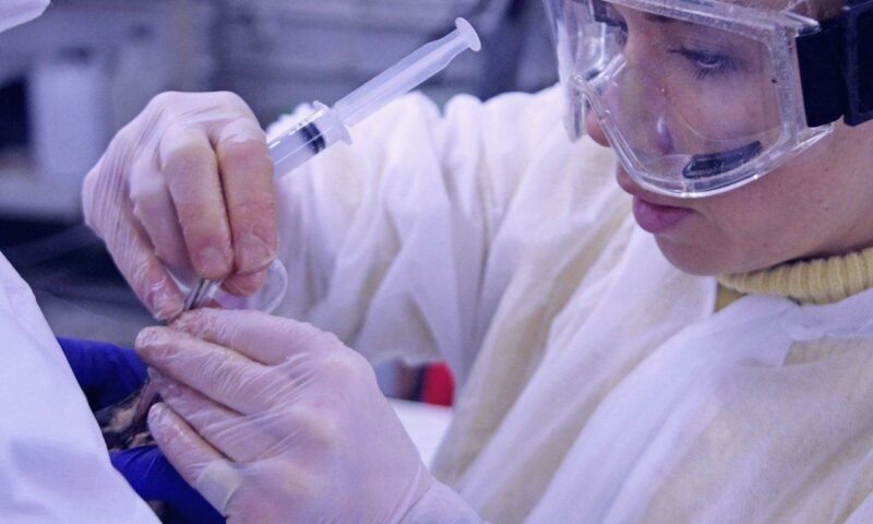    Фото t.me/opershtab23