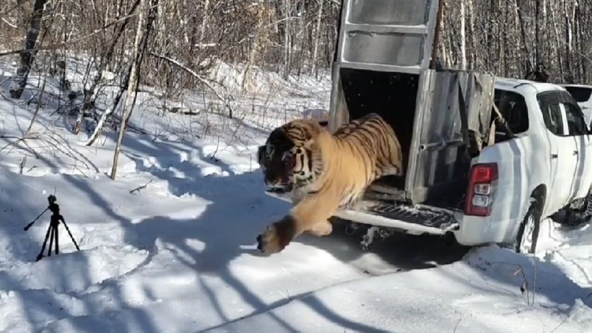     Источник: minles_pk