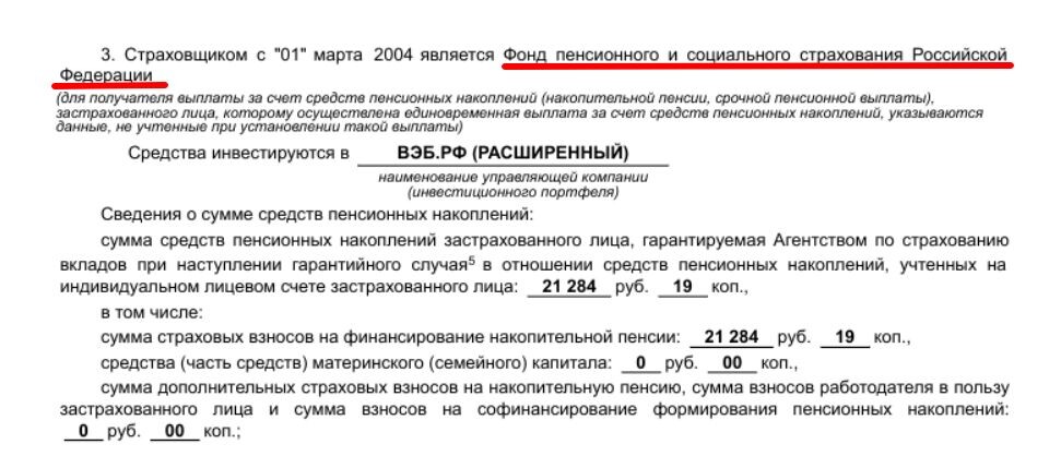 В выписке указывается, кто является страховщиком. Деньги этого человека лежат в государственном фонде, или в СФР. (Источник: личный архив автора)