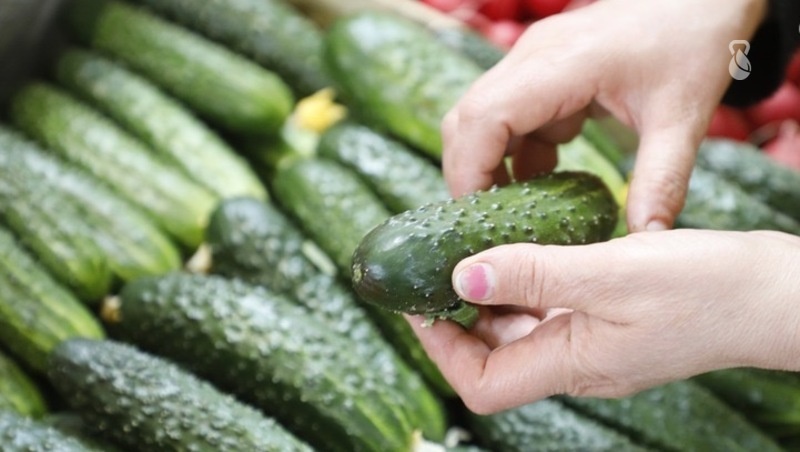      Фото: ИА «Победа26»