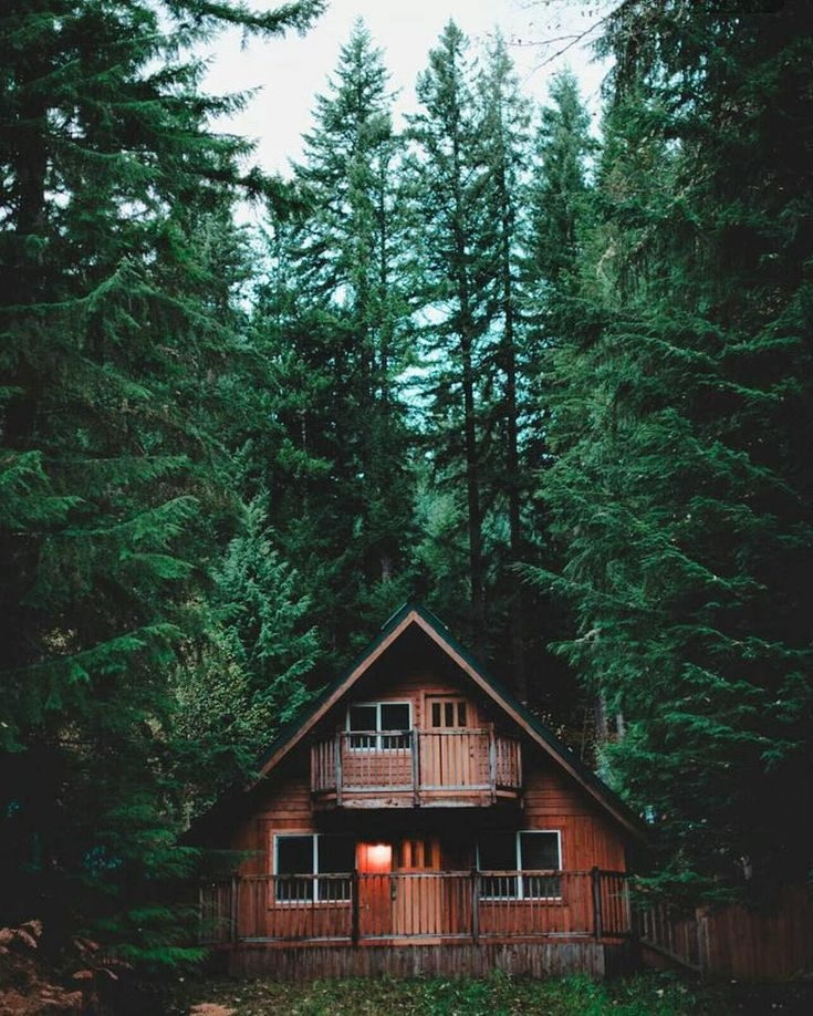 Фото Яндекс картинки.