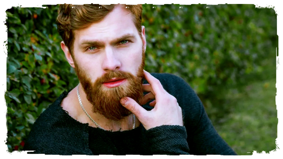 Взято из Яндекс Картинки