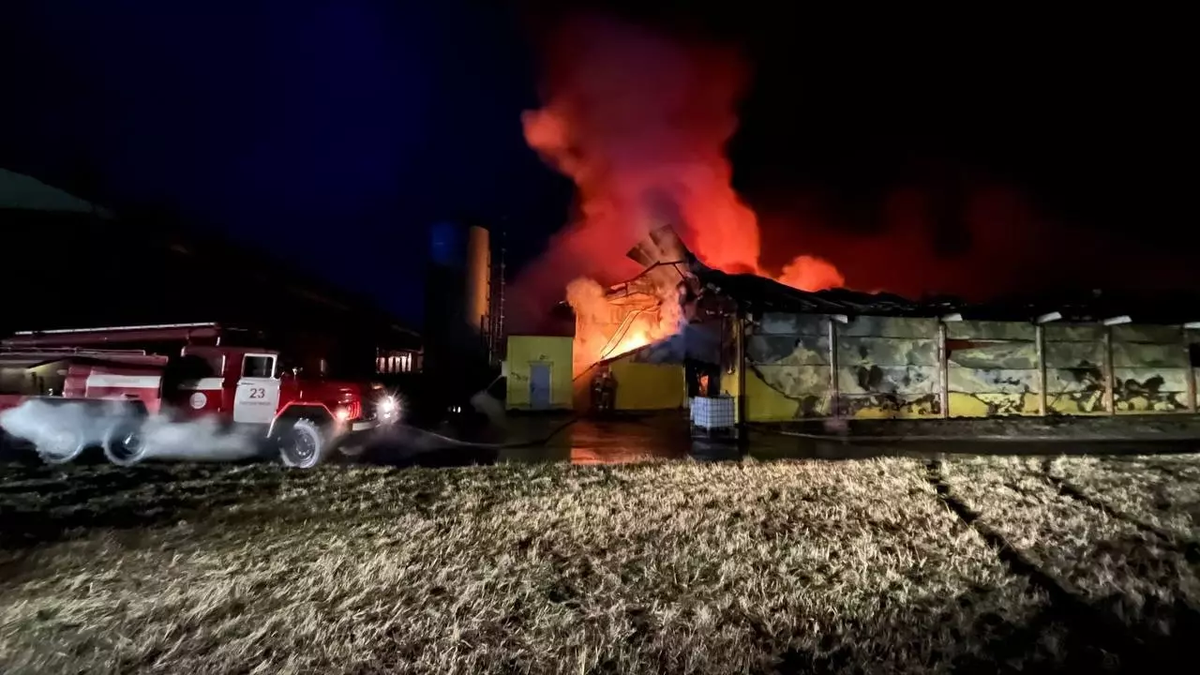 Фото: Прокуратура Курской области. Прокуратура взяла на контроль происшествие на птицефабрике «Черкизово Куриное Царство»