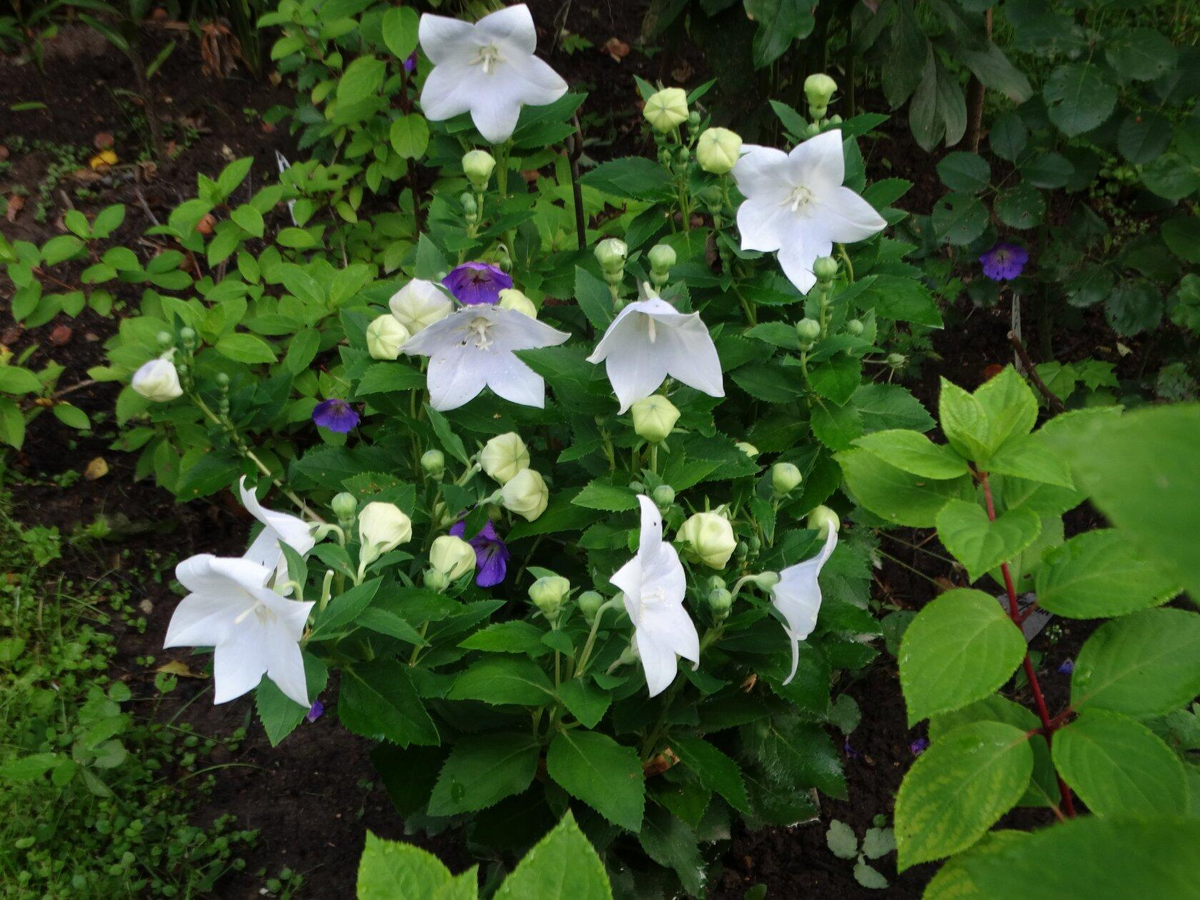 Все фото автора