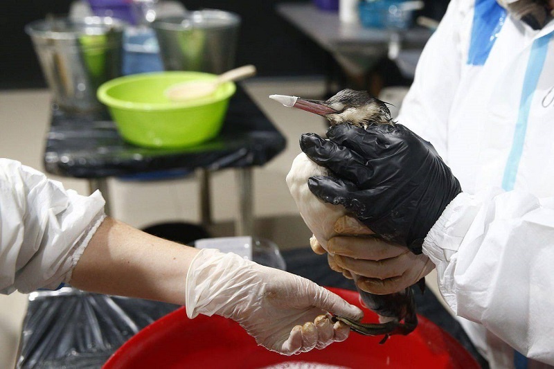    Фото: пресс-служба администрации Краснодарского края