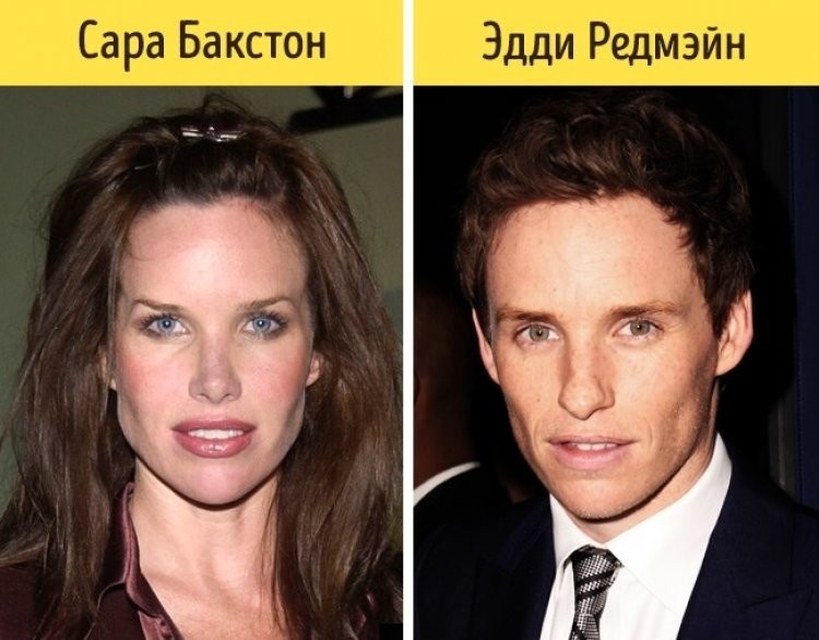 Из открытых источников