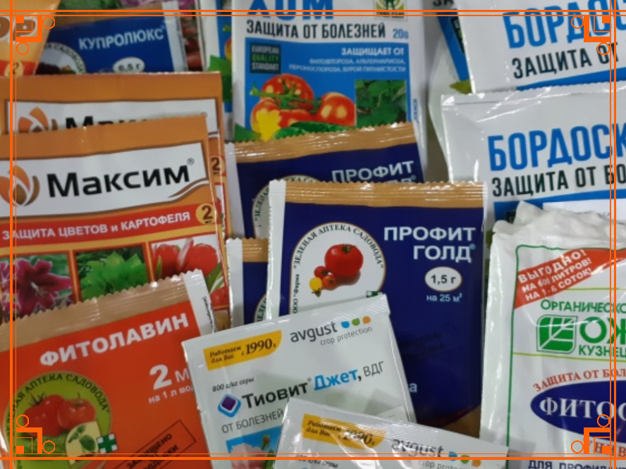 Фото из интернета. Как выбрать фунгицид