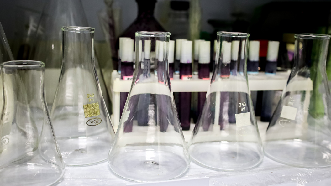    Фото: Elena Mayorova/Global Look Press/Globallookpress