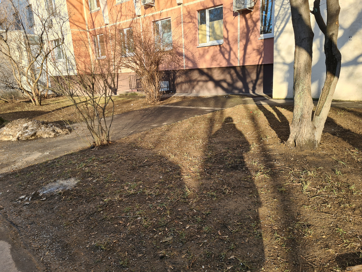 фото сделано 17 января 2025 года. Ну и где тут зима?