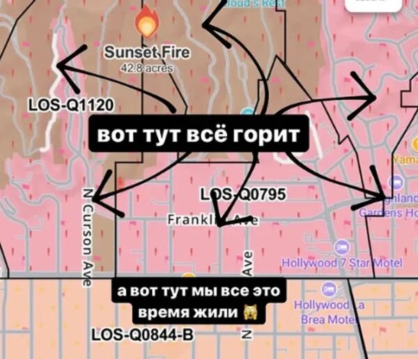    Риту Дакоту ужаснули пожары в Лос-Анджелесе, фото: соцсети
