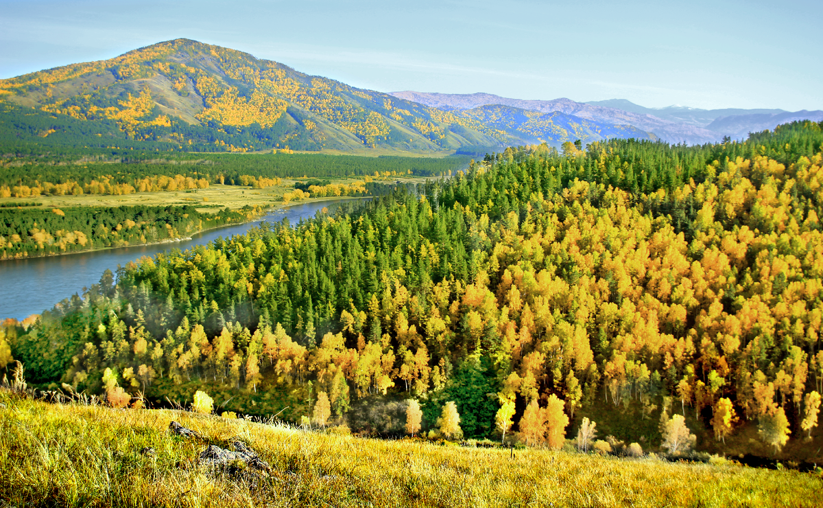 Фотография, стихотворение Василия Глуцкого