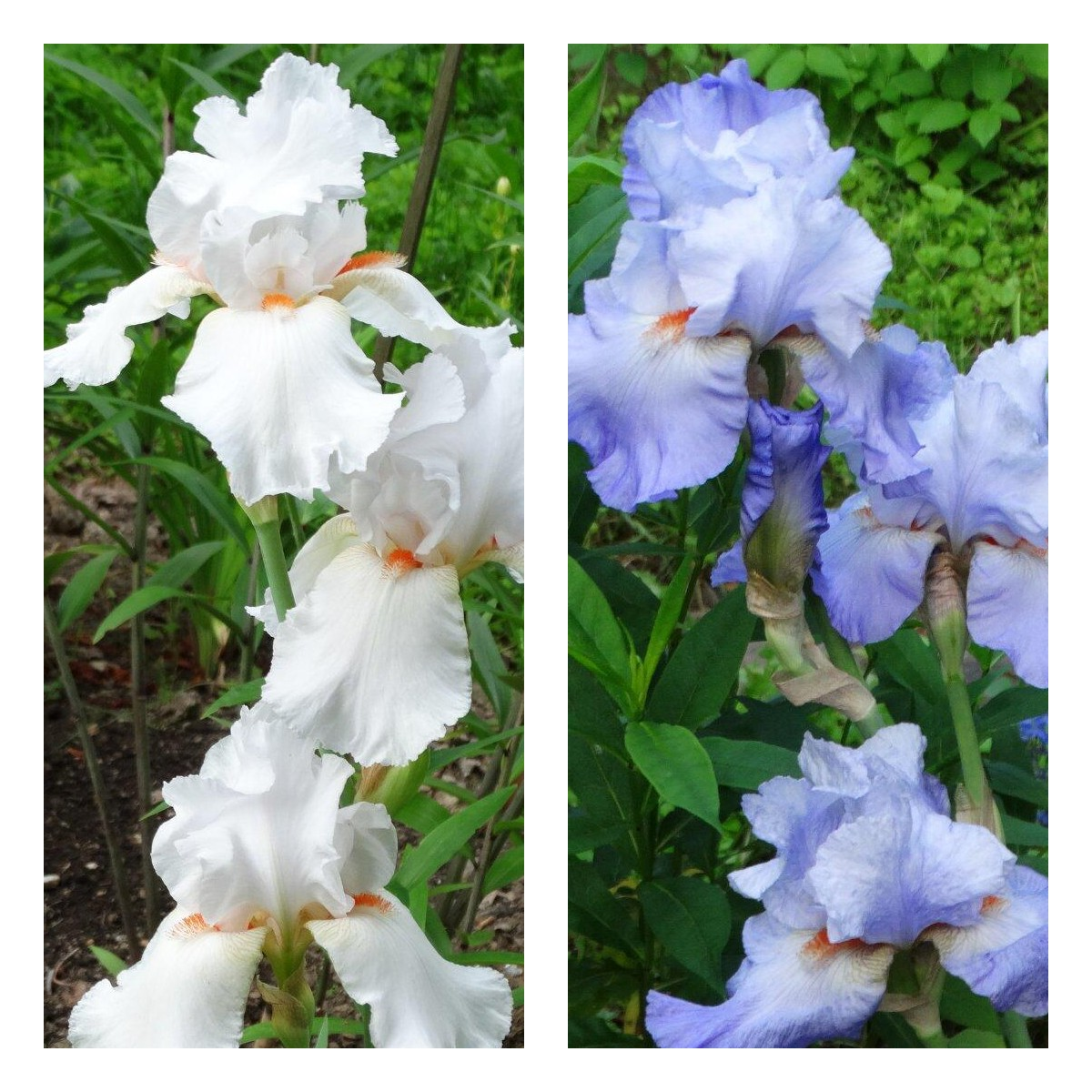 Все фото автора