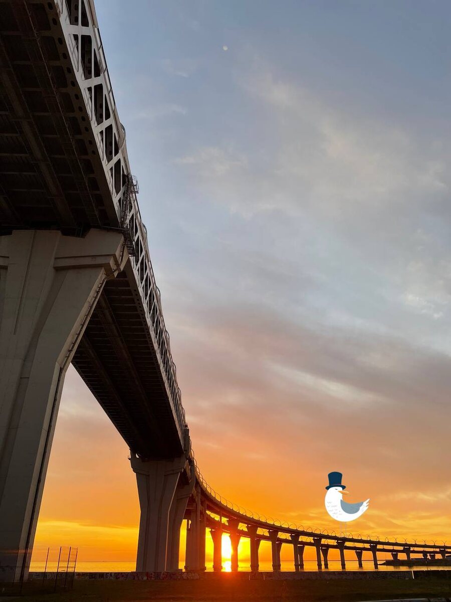 Эстакада ЗСД 