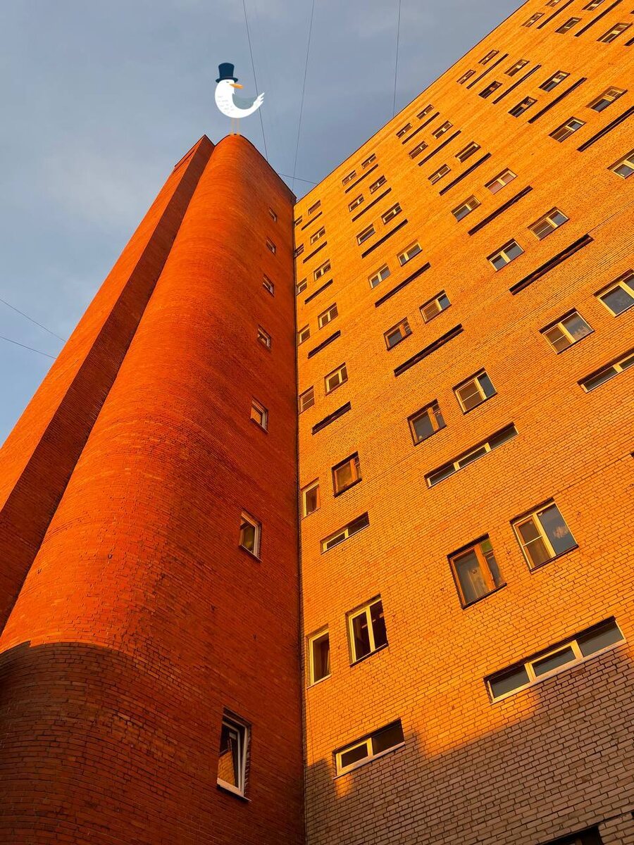 Жилой дом на Канонерке в лучах закатного солнца 