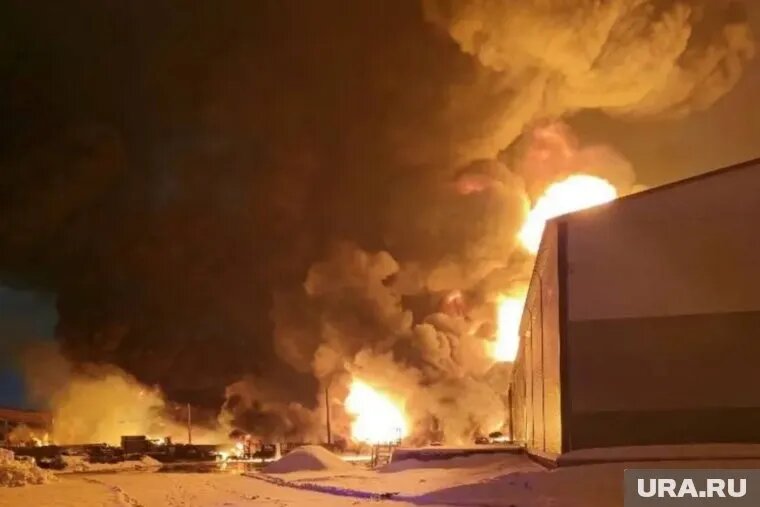 Со слов очевидцев, пожар произошел около шести утра по местному времени. Фото: Официальный канал Комитета правопорядка и безопасности ЛО/https://t.me/bezopasnost47