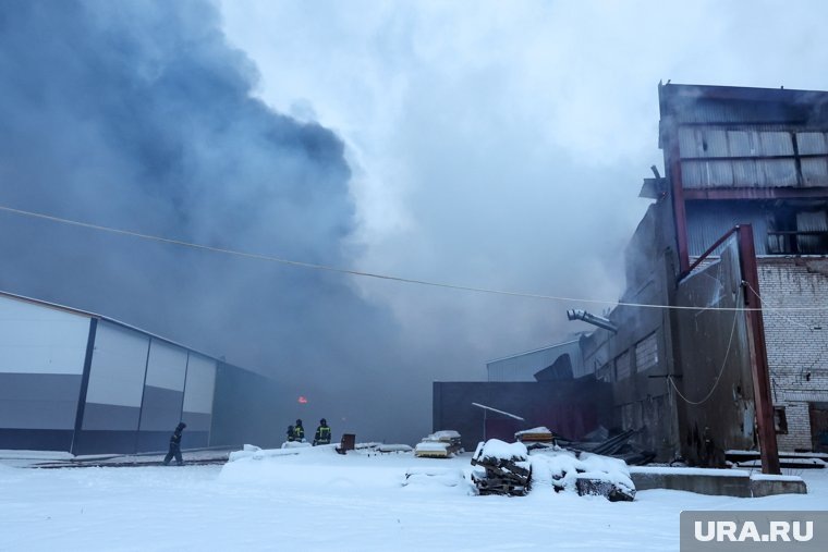 Информации о пострадавших нет. Фото: Петр Ковалев/ТАСС