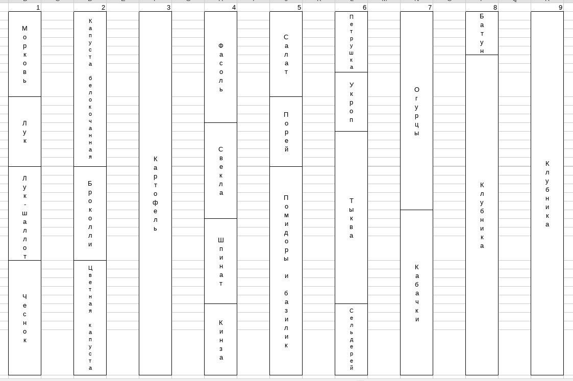 Схема грядок 2025