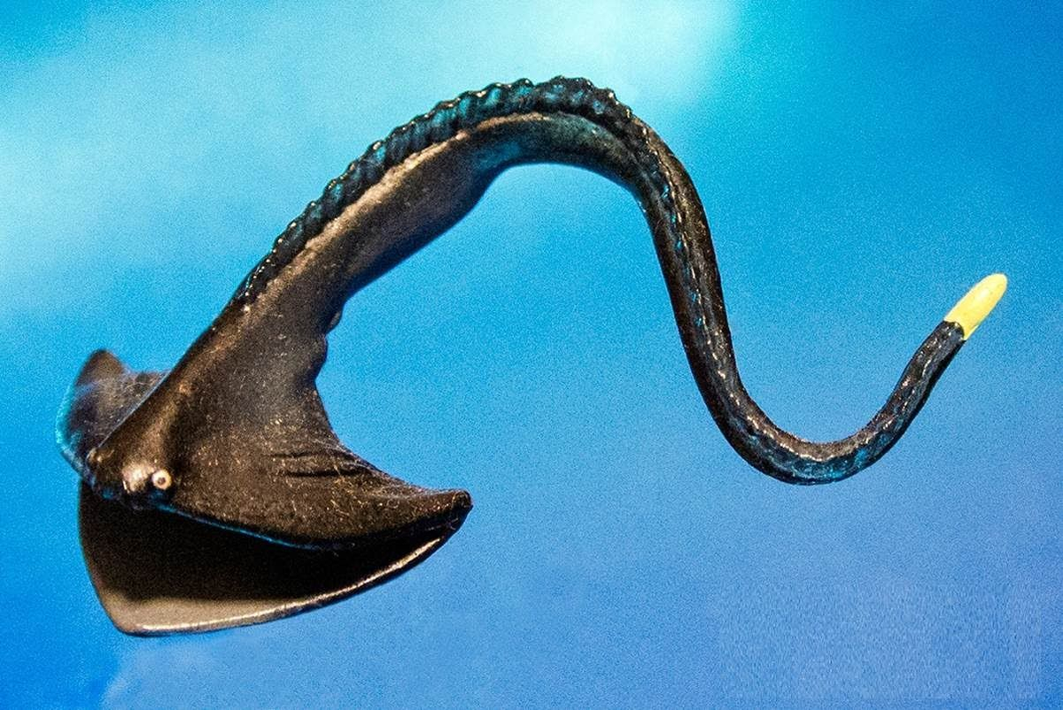 Глубоководный угорь-пеликан (Eurypharynx pelecanoides)