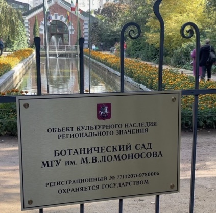 Аптекарский огород