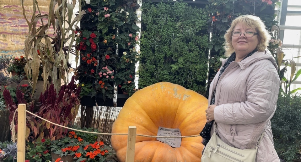 Это я на осенней выставке гигантов в Аптекарском огороде Москвы