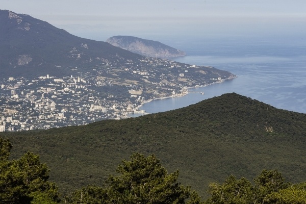 Фото: РИА Новости/Константин Михальчевский