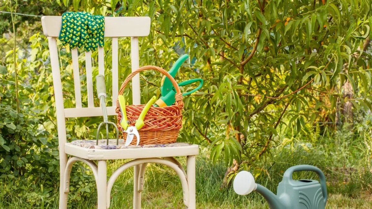    Дачный участок.