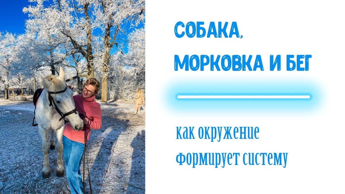 коллаж и фото автора