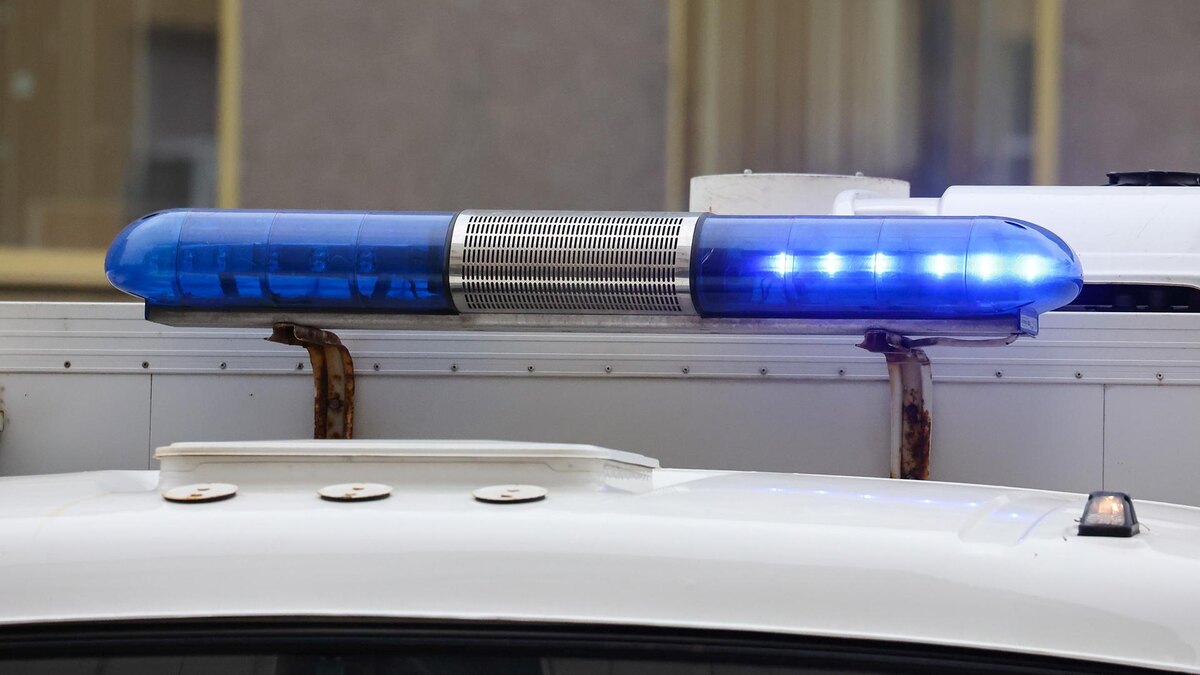    Фото: Belkin Alexey/globallookpress.com