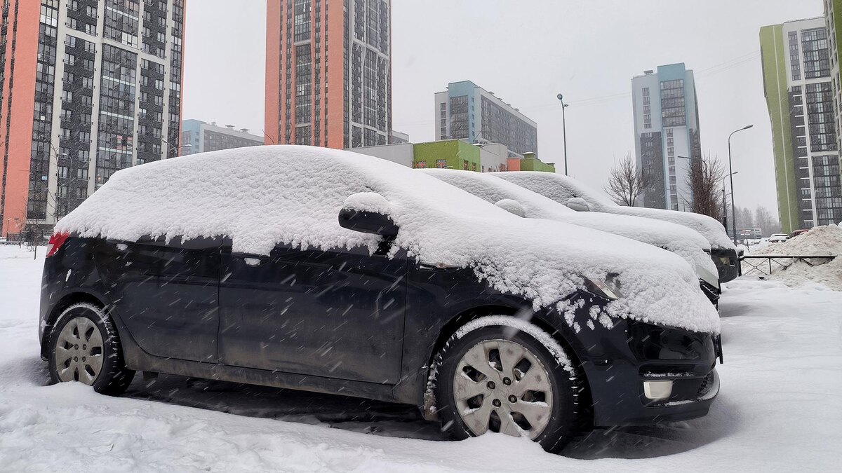    Фото: Maksim Konstantinov/globallookpress.com