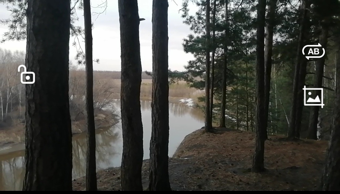 Крутой Яр на берегу Тары