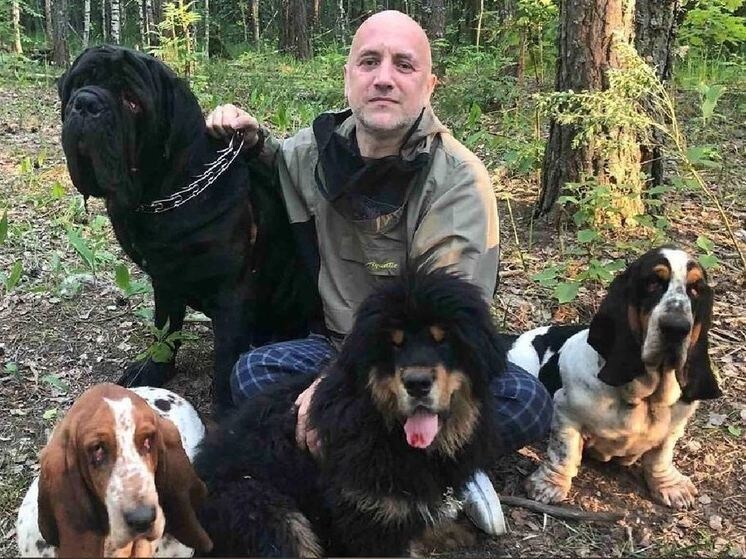 МК в Башкортостане
6068 подписчиков
Захар Прилепин: «Меня взорвали - это тоже повышает продажи»
23 минуты
1336 прочтений
6 января

Писатель, публицист и общественный деятель Захар Прилепин презентовал свою новую книгу "Собаки и другие люди". Главные герои книги - семь собак, рыжий кот, попугай и обаятельные деревенские жители. По отзывам читателей, произведение одновременно очень смешное и немного печальное, о любви и преданности. Корреспондент нашего издания побывала на презентации книги и узнала, о чем с писателем говорили поклонники его творчества.
zaharprilepin.ru