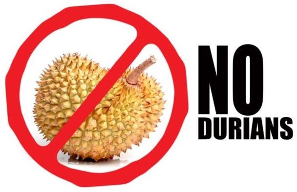 Яндекс картинки