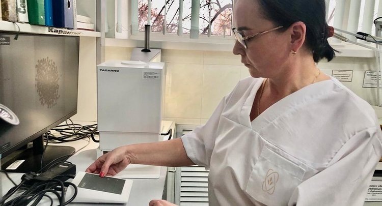    70% пшеницы нового урожая в Ростовской области отнесено к продовольственной кондиции