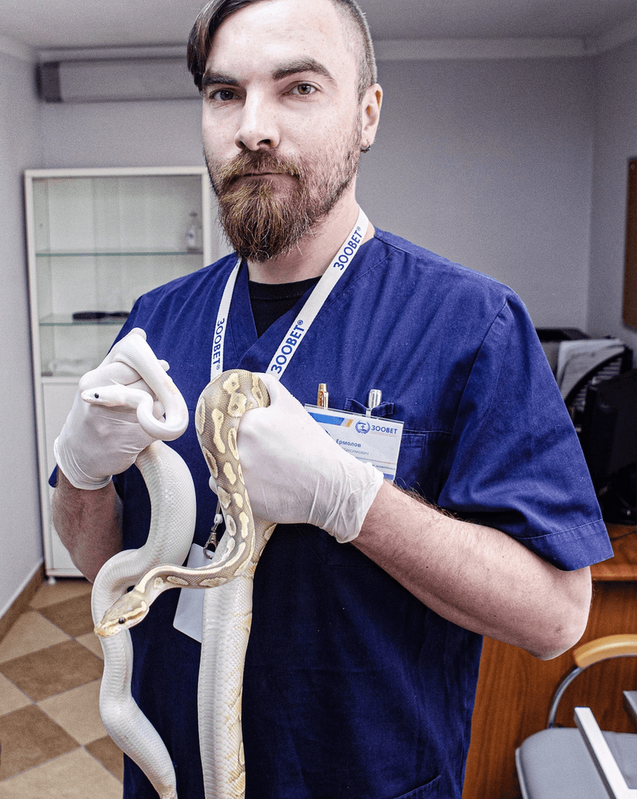 Ян Ермолов занимается сложными случаями, спасая змей в тяжелейших ситуациях  Предоставлено героем публикаци