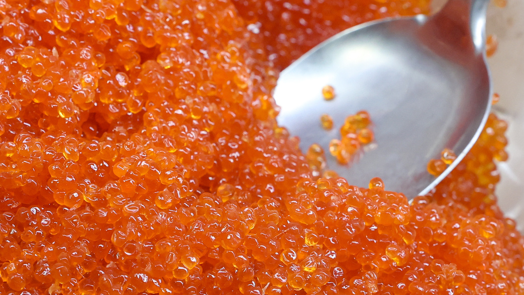    Petrov Sergey/news.ru/Globallookpress