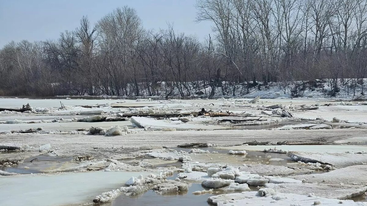     Источник: 56orb.ru