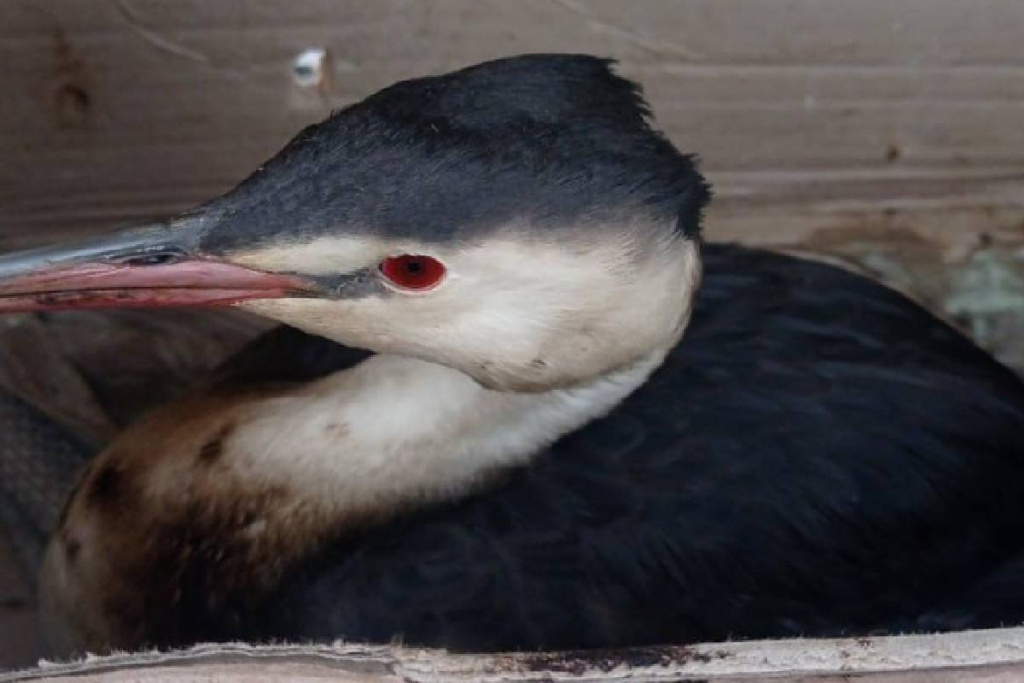    photo_2025-01-10_09-56-50 (2)