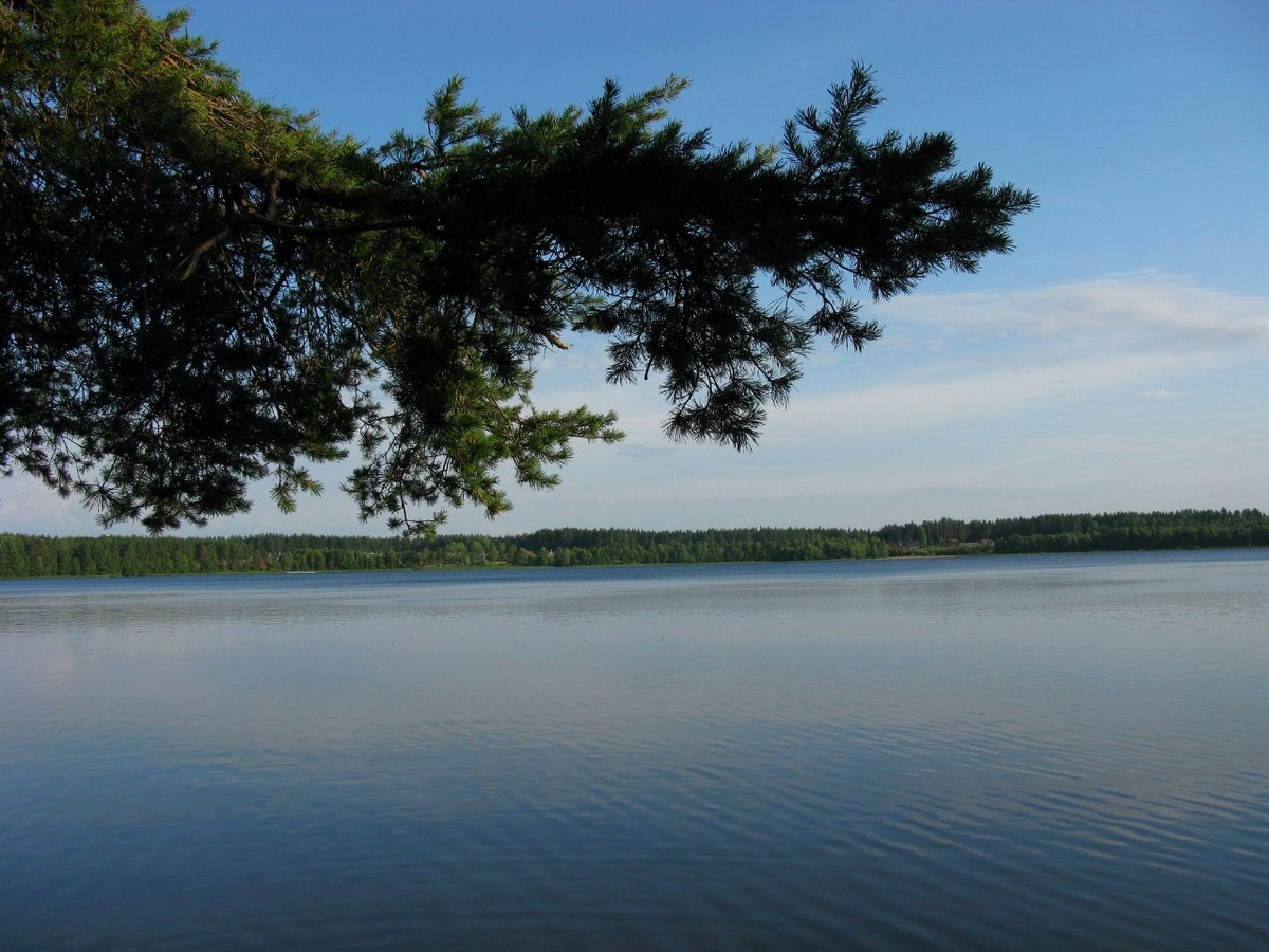 Борисовское озеро. Вид с шоссе.