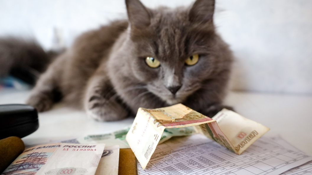    Elena Mayorova/Globallookpress