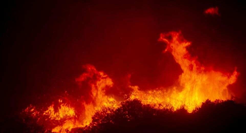    Ringo Chiu/Keystone Press Agency / Global Look Press