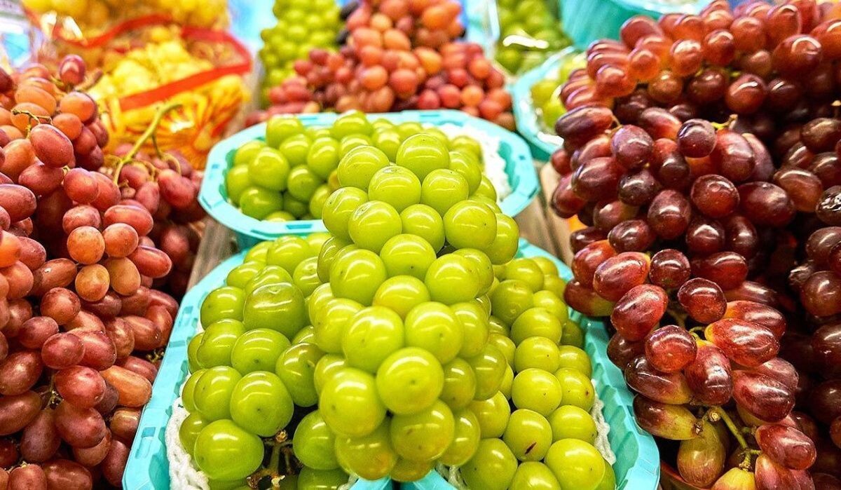     Виноград. Источник: mos.ru Автор фото: Пресс-служба Мэра и Правительства Москвы