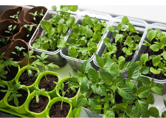 А грунта нам надо много ...