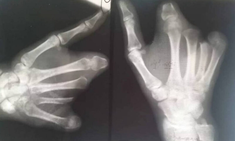    Фото t.me/tipichkras