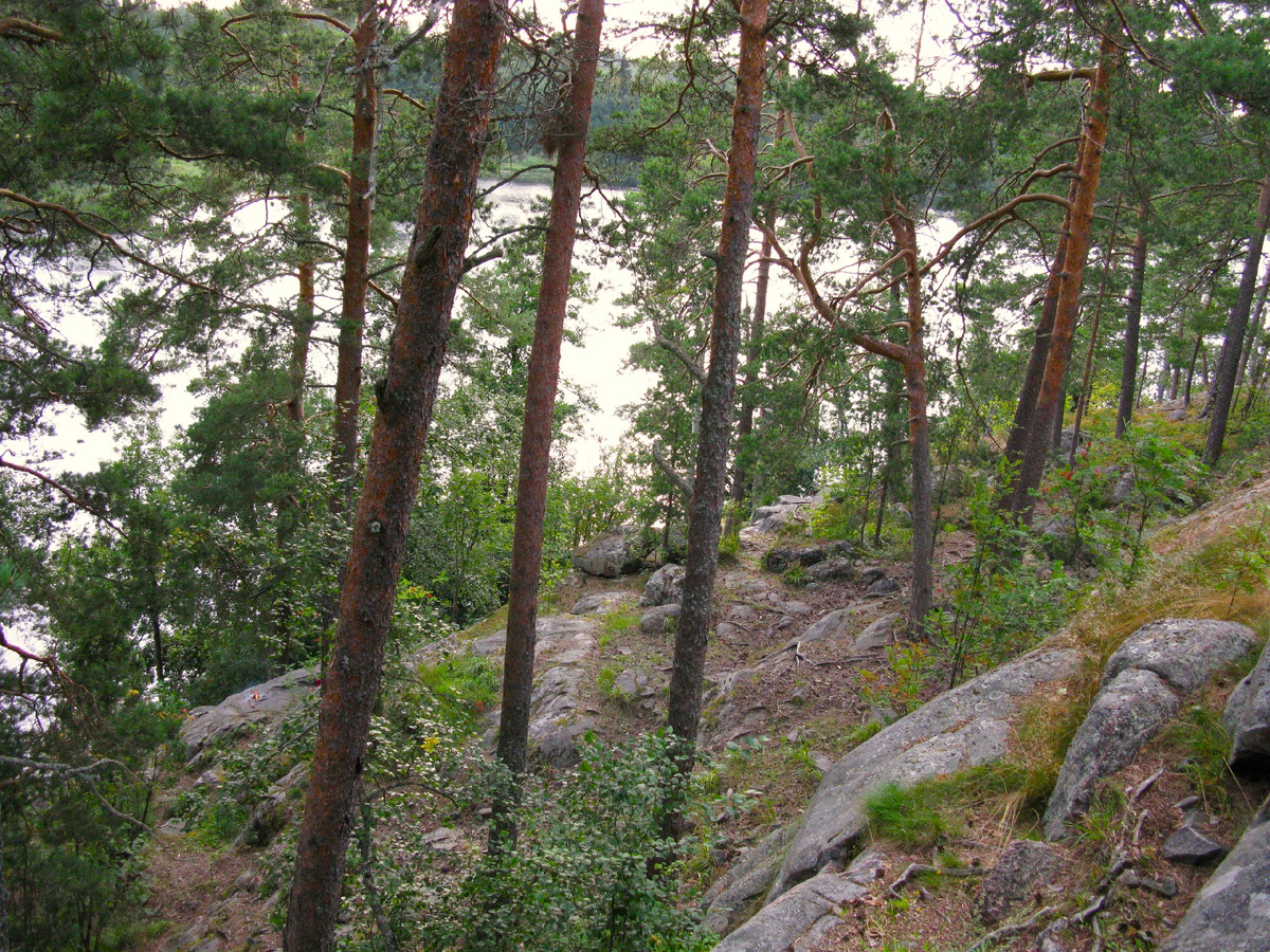 Путь к Малым скалам.