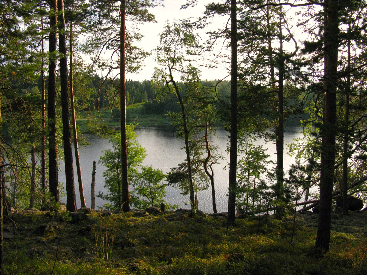 Дорога к Малым скалам вдоль залива Капеасалми.