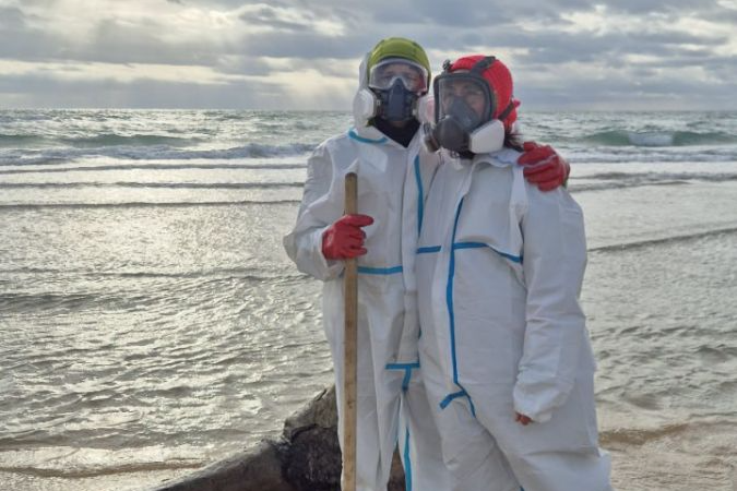 Фото: Павел Баздырев