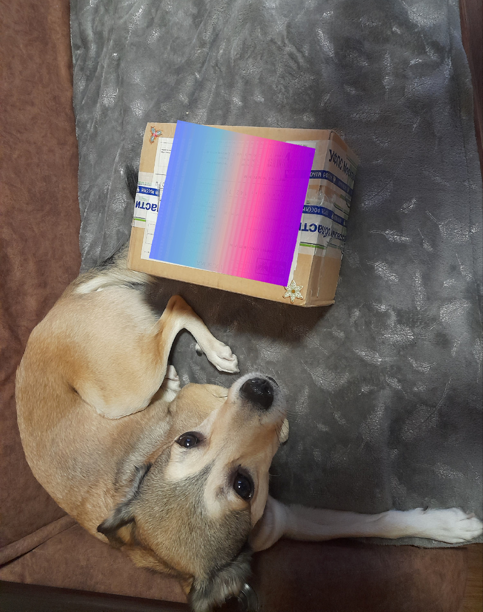 У нас режим, объелись и лежим. 